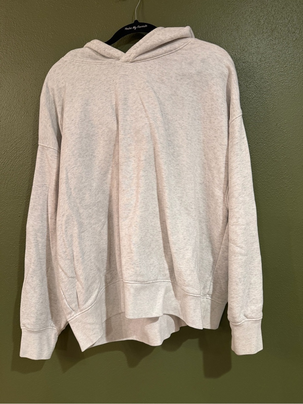 American Eagle Outfitters Light Heather Gray Hooded Sweatshirt